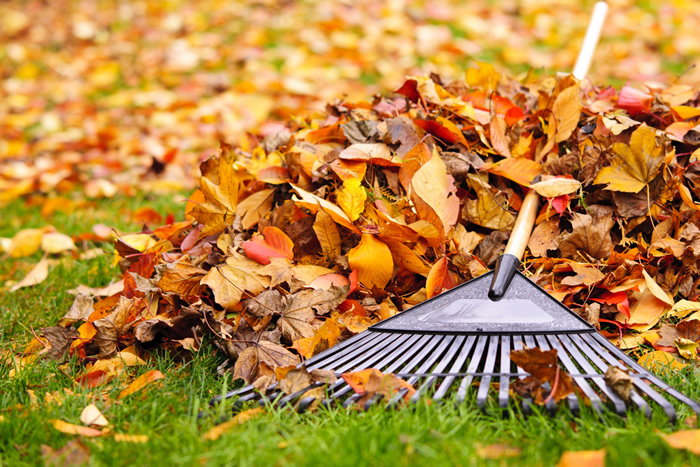 Our Commercial Lawn Mowing Programs Are Designed To Fit Your Needs