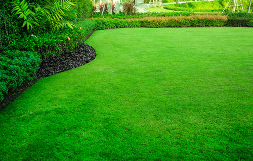 Fertilizer For lawn