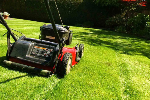 Lawn Care And Snow Removal Crew Leader