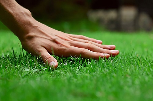 Lawn Care And Snow Removal Opening
