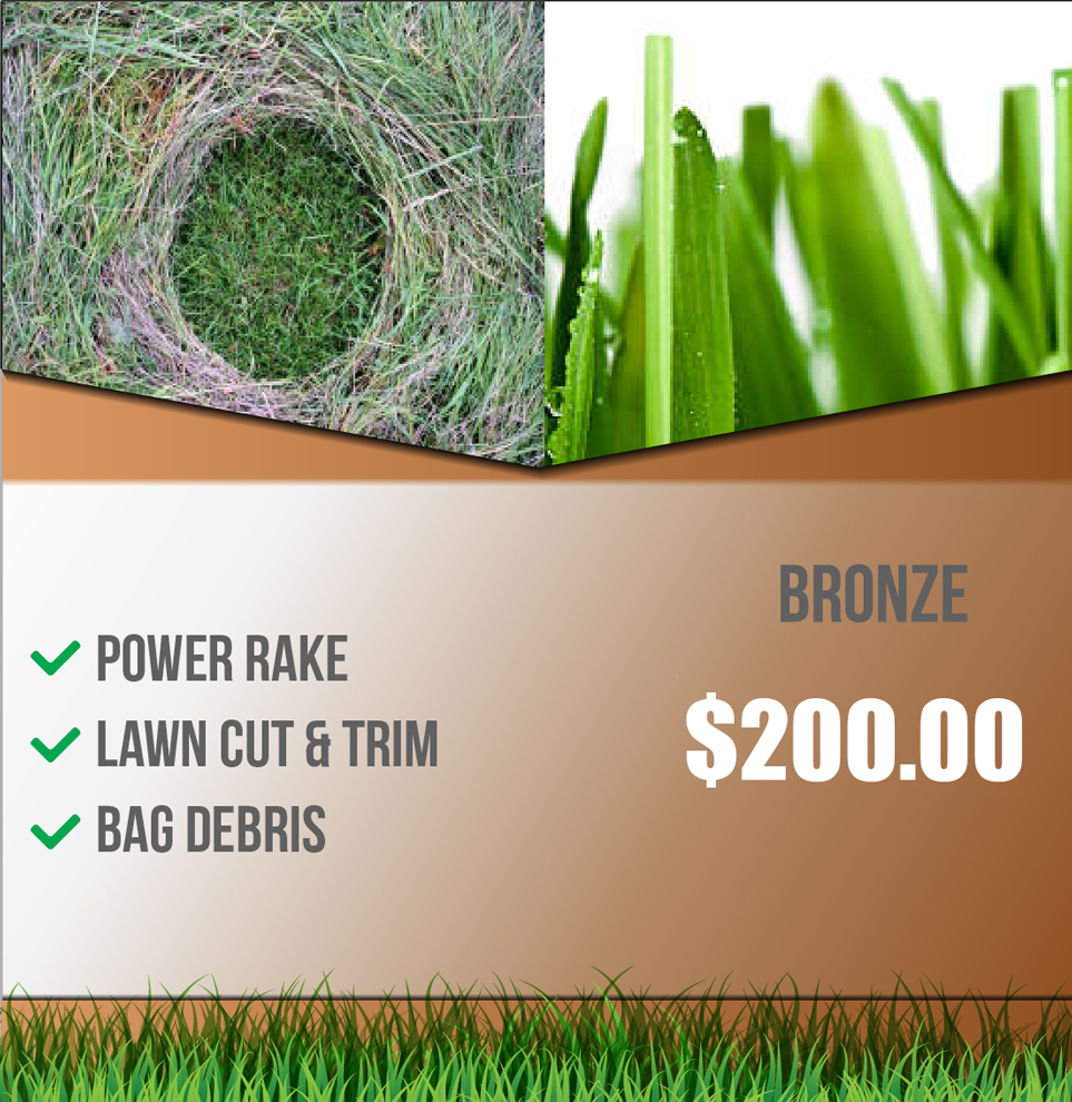 Lawn Bronze Package