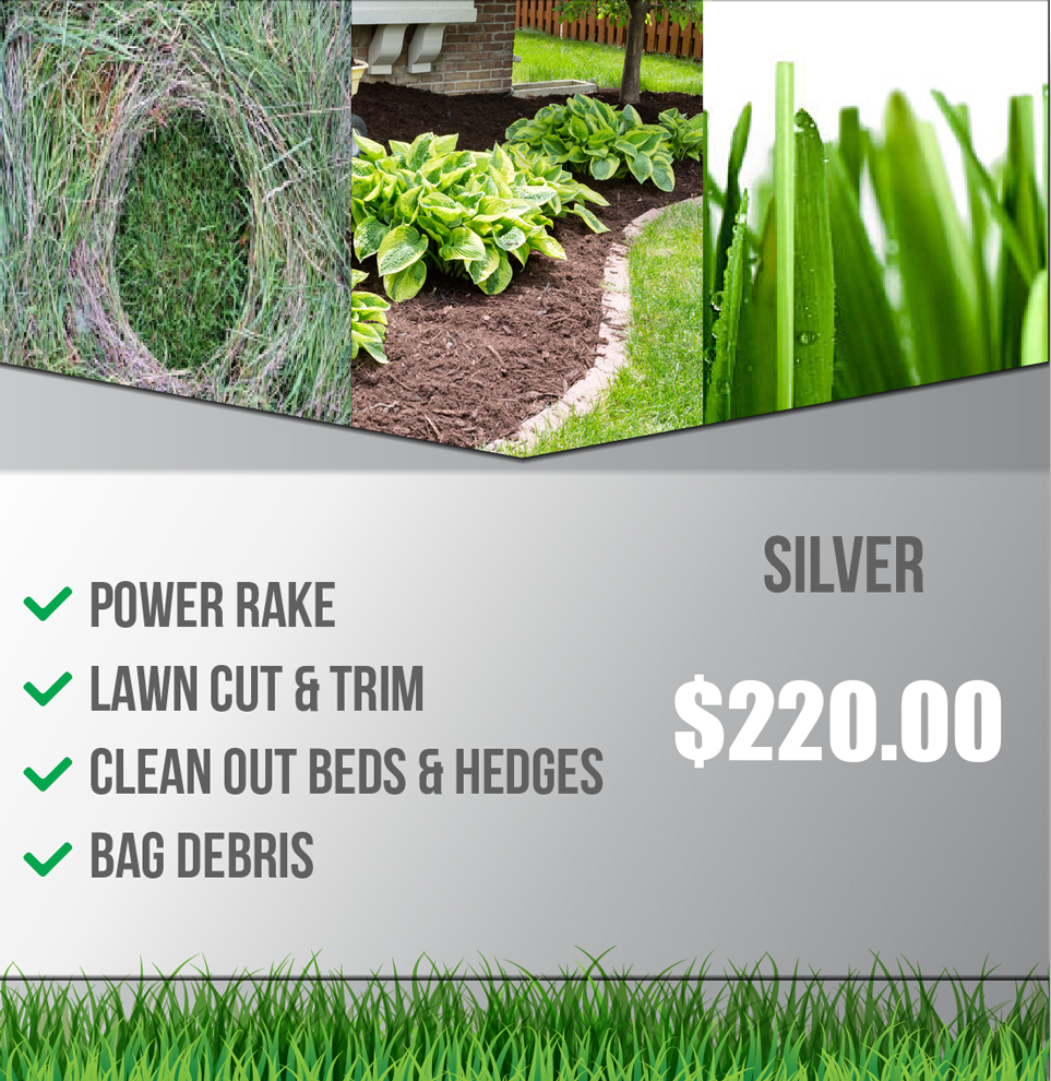 Lawn Silver Package
